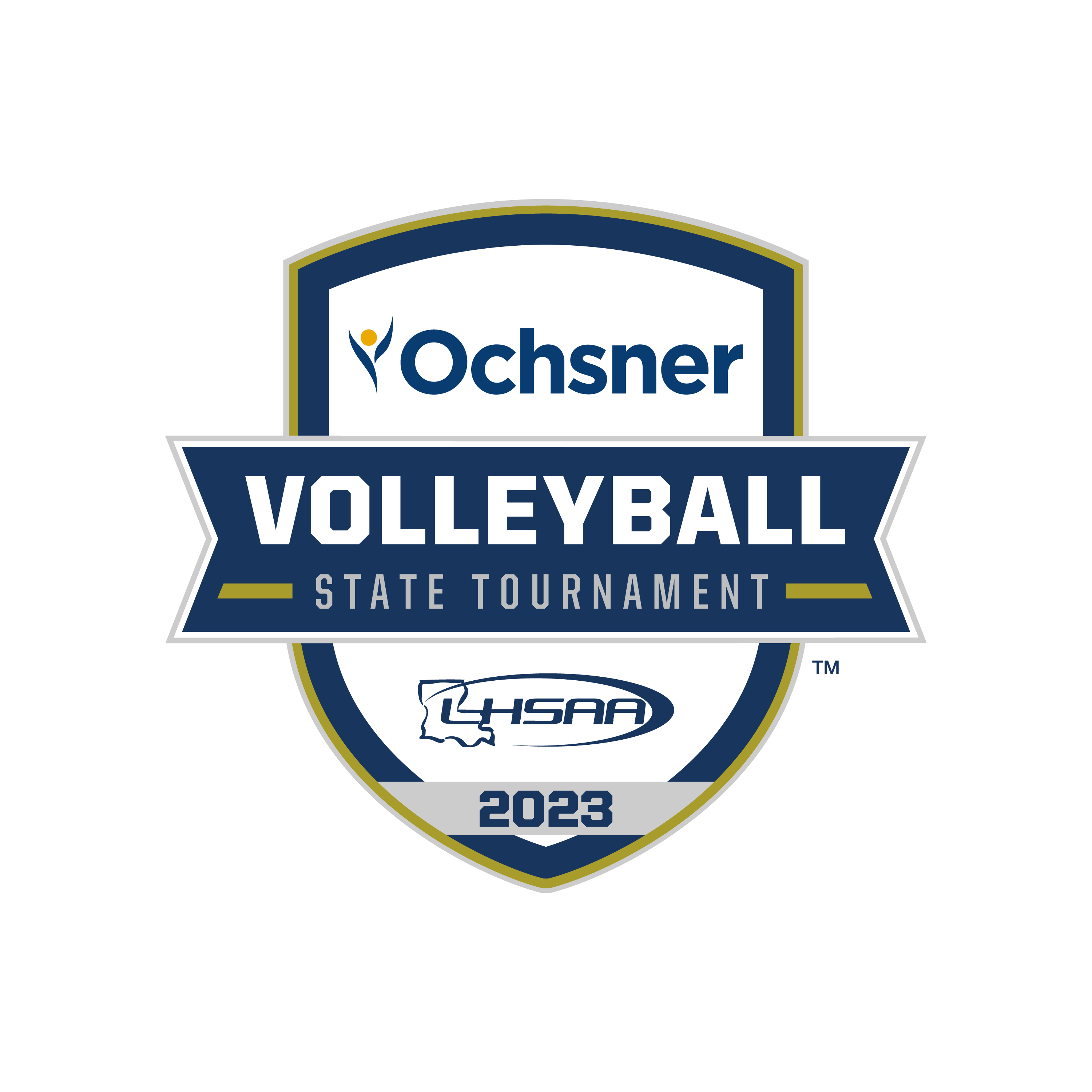 lhsaa volleyball live scores